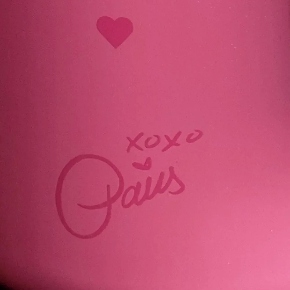 Paris Hilton 16 oz Pink Insulated Food Jar Shimmer Fairy Princess Hearts NEW‎